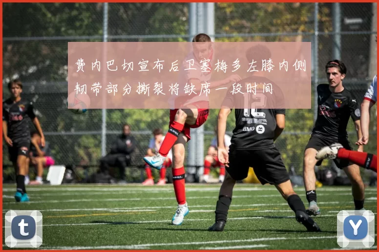 费内巴切宣布后卫塞梅多左膝内侧韧带部分撕裂将缺席一段时间
